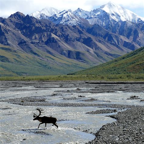 lotto.alaska|lotto alaska ms 5050 central.